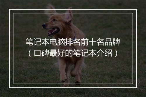 笔记本电脑排名前十名品牌（口碑最好的笔记本介绍）