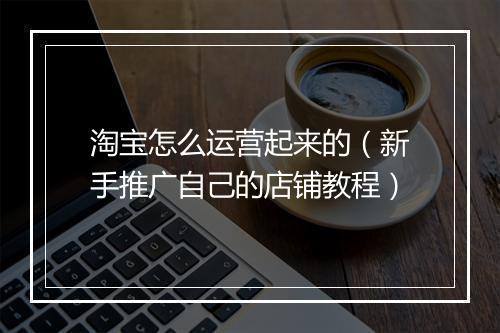 淘宝怎么运营起来的（新手推广自己的店铺教程）