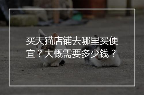 买天猫店铺去哪里买便宜？大概需要多少钱？