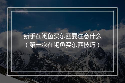 新手在闲鱼买东西要注意什么（第一次在闲鱼买东西技巧）