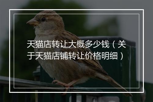 天猫店转让大概多少钱（关于天猫店铺转让价格明细）