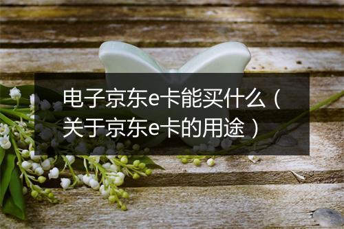 电子京东e卡能买什么（关于京东e卡的用途）