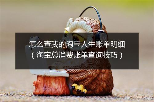 怎么查我的淘宝人生账单明细（淘宝总消费账单查询技巧）