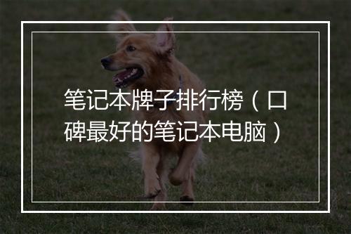 笔记本牌子排行榜（口碑最好的笔记本电脑）