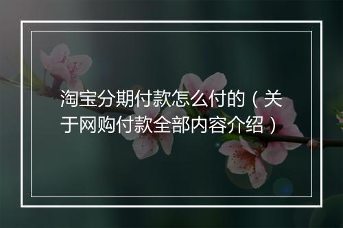 淘宝分期付款怎么付的（关于网购付款全部内容介绍）