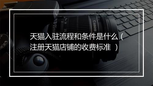 天猫入驻流程和条件是什么（注册天猫店铺的收费标准 ）