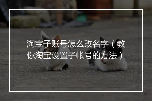 淘宝子账号怎么改名字（教你淘宝设置子帐号的方法）