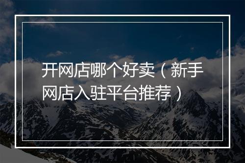 开网店哪个好卖（新手网店入驻平台推荐）