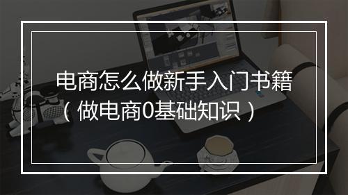 电商怎么做新手入门书籍（做电商0基础知识）