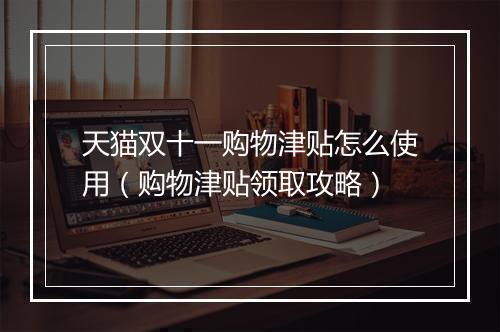 天猫双十一购物津贴怎么使用（购物津贴领取攻略）