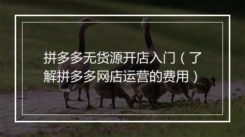 拼多多无货源开店入门（了解拼多多网店运营的费用）