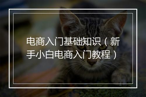 电商入门基础知识（新手小白电商入门教程）
