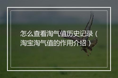 怎么查看淘气值历史记录（淘宝淘气值的作用介绍）