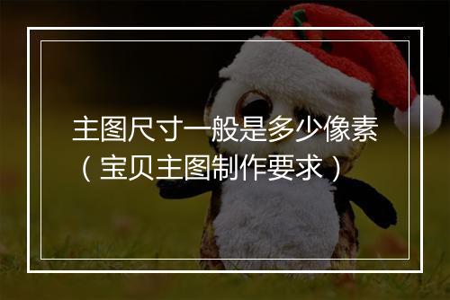 主图尺寸一般是多少像素（宝贝主图制作要求）