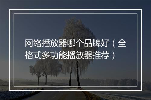网络播放器哪个品牌好（全格式多功能播放器推荐）