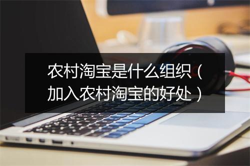 农村淘宝是什么组织（加入农村淘宝的好处）