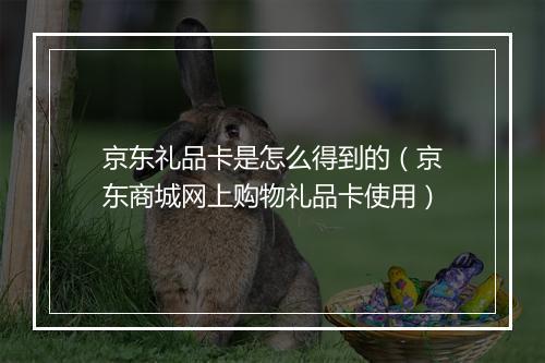 京东礼品卡是怎么得到的（京东商城网上购物礼品卡使用）