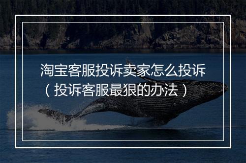 淘宝客服投诉卖家怎么投诉（投诉客服最狠的办法）