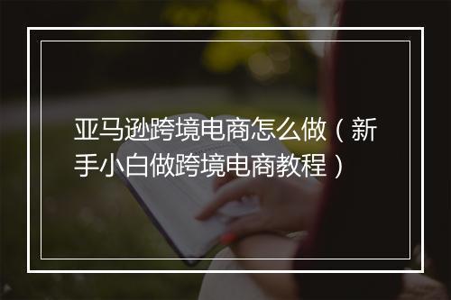 亚马逊跨境电商怎么做（新手小白做跨境电商教程）
