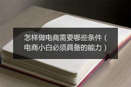 怎样做电商需要哪些条件（电商小白必须具备的能力）