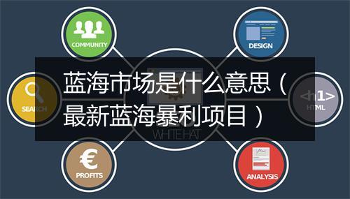 蓝海市场是什么意思（最新蓝海暴利项目）