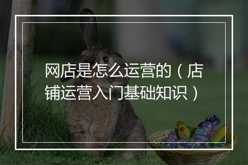 网店是怎么运营的（店铺运营入门基础知识）