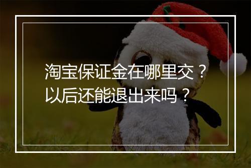 淘宝保证金在哪里交？以后还能退出来吗？