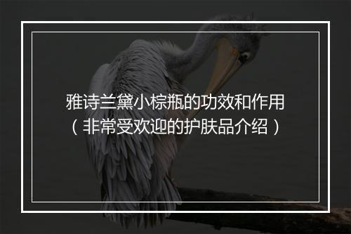 雅诗兰黛小棕瓶的功效和作用（非常受欢迎的护肤品介绍）
