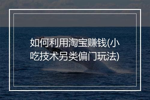 如何利用淘宝赚钱(小吃技术另类偏门玩法)