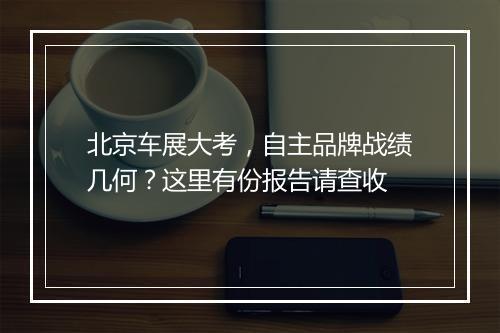 北京车展大考，自主品牌战绩几何？这里有份报告请查收