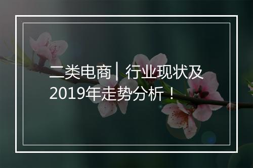 二类电商 ▏行业现状及2019年走势分析！
