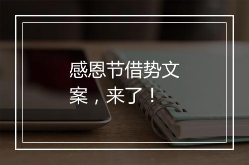 感恩节借势文案，来了！