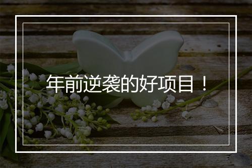 年前逆袭的好项目！