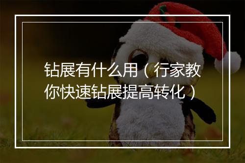 钻展有什么用（行家教你快速钻展提高转化）
