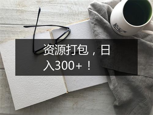 资源打包，日入300+！