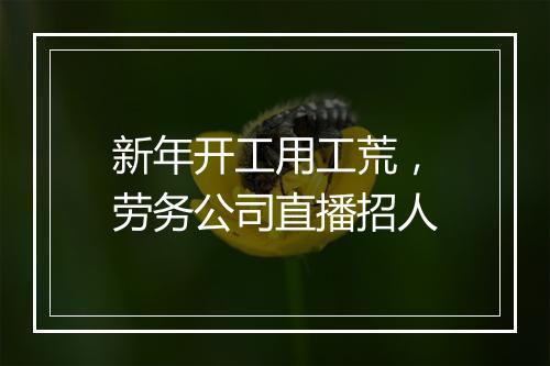 新年开工用工荒，劳务公司直播招人
