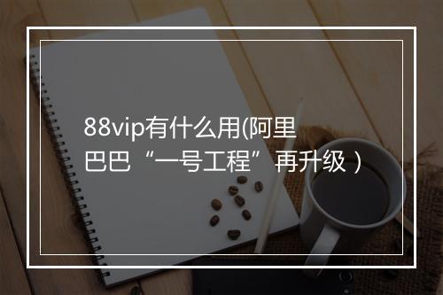 88vip有什么用(阿里巴巴“一号工程”再升级）