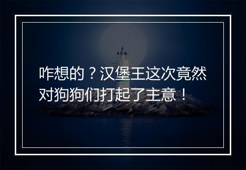 咋想的？汉堡王这次竟然对狗狗们打起了主意！