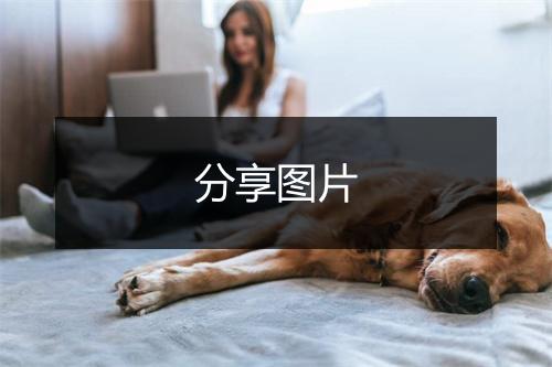 分享图片