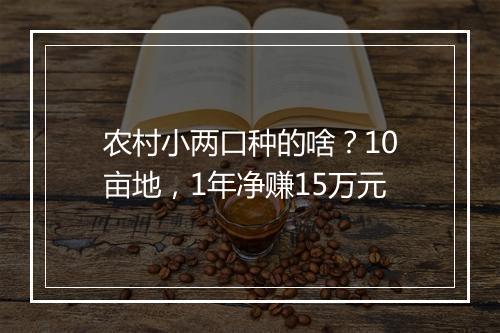 农村小两口种的啥？10亩地，1年净赚15万元