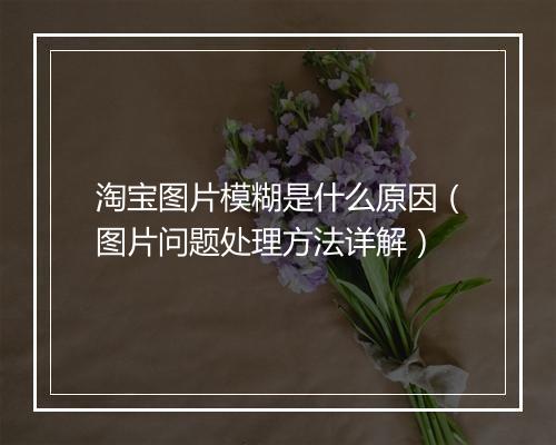 淘宝图片模糊是什么原因（图片问题处理方法详解）