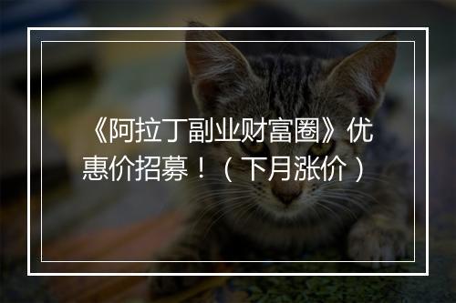 《阿拉丁副业财富圈》优惠价招募！（下月涨价）