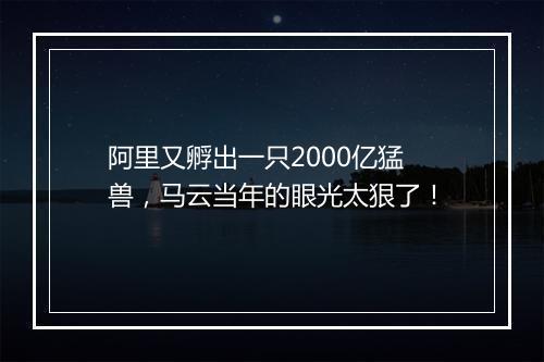 阿里又孵出一只2000亿猛兽，马云当年的眼光太狠了！