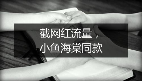 截网红流量，小鱼海棠同款