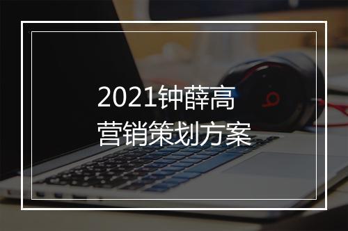 2021钟薛高营销策划方案
