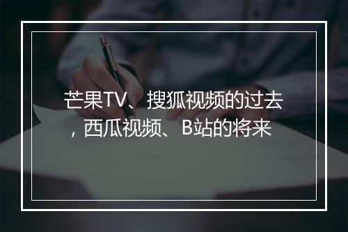 芒果TV、搜狐视频的过去，西瓜视频、B站的将来