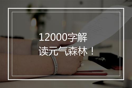 12000字解读元气森林！