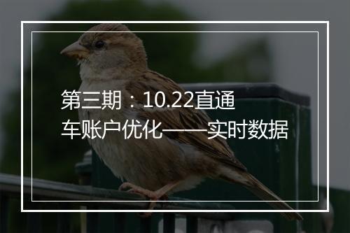 第三期：10.22直通车账户优化——实时数据