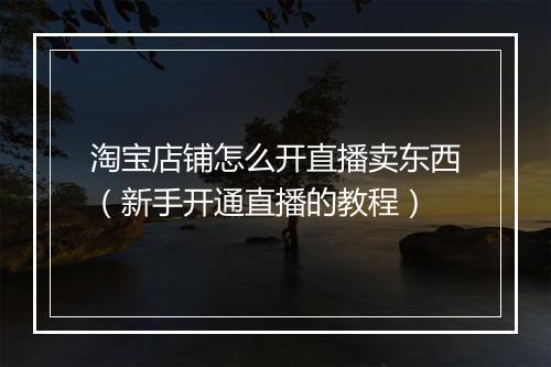 淘宝店铺怎么开直播卖东西（新手开通直播的教程）