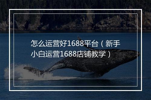 怎么运营好1688平台（新手小白运营1688店铺教学）